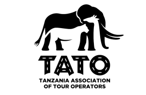 tato-vector-new-1